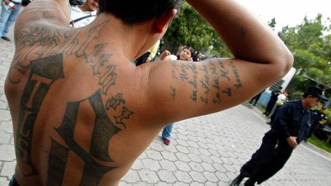 MS-13 es como se conoce a la rama de la Mara Salvatrucha en Estados Unidos.