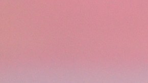 La exportera fue detenida este viernes.