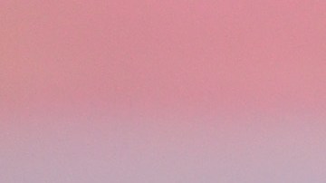 La exportera fue detenida este viernes.