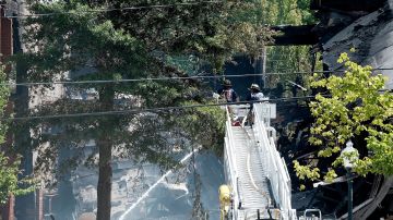 Investigan extraña muerte de podador de árboles en CA, tras quedar colgado a 50 pies de altura