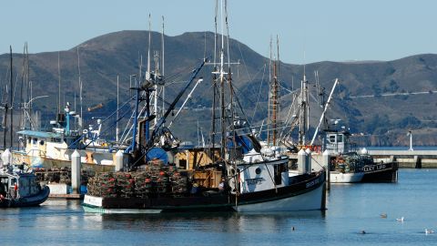 SAN FRANCISCO - NOVEMBER 30: A fishing vessel loaded with crab pots moves through the harbor near Pier 45 November 30, 2007 in San Francisco, California. After a two-week delay to the opening of Dungeness crab season following the 58,000 gallon oil spill in the San Francisco Bay, California governor Arnold Schwarzenegger announced on Thursday that fishing can resume in the bay and beyond the Golden Gate Bridge after testing of fish and crabs came back clean. Crab fisherman will wait another day before heading out to drop their pots because of a small craft wind advisory and swells expected to top 9 feet. (Photo by Justin Sullivan/Getty Images)