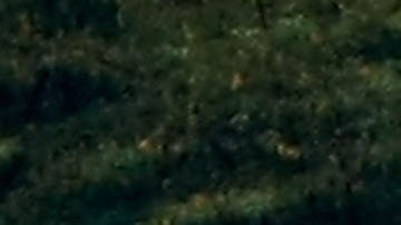 Los socorristas buscaron a los niños por más de 90 millas a lo largo del río Mississippi por más de 50 horas.