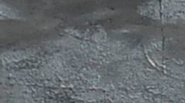 La jueza dijo que su orden no impide que el estado elabore regulaciones al respecto.