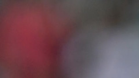 El mediocampista alemán Mesut Ozil estudia una oferta del LAFC para jugar en la MLS.