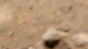 Conmociona crimen de Xiomara en Nicaragua; su cuerpo aparece en el fondo de una letrina