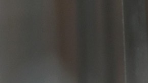 La la gripe aviar H5N1 no es un gran riesgo para los humanos.