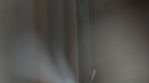 La la gripe aviar H5N1 no es un gran riesgo para los humanos.