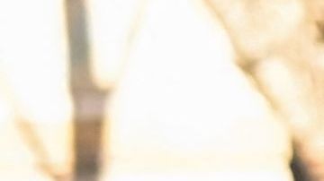 Horror en Kiev Ucrania contabiliza más 1200 cadáveres