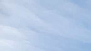 Los campesinos se reunieron en el campo donde pizcan la fresa. (Suministrada/MICOP)