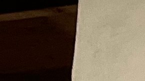 Canelo Álvarez en los hombros de Eddy Reynoso grabado en una pared de su gimnasio en San Diego.