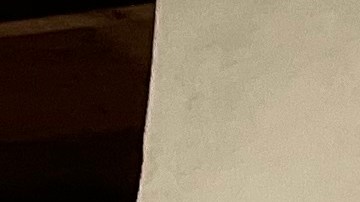 Canelo Álvarez en los hombros de Eddy Reynoso grabado en una pared de su gimnasio en San Diego.