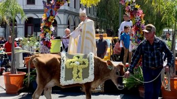 El arzobispo de la Arquidiócesis de Los Ángeles, José H. Gómez celebró la tradicional bendición de animales. (Araceli Martínez/La Opinión)
