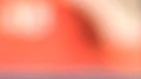 Santiago Solari dirigió al Club América con poco éxito.