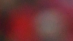 Alexis Vega, delantero de Chivas de Guadalajara y de la selección de México.