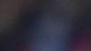 "Tano" Ortiz celebra un gol de América con sus jugadores.