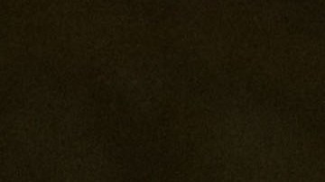 Los hinchas están molestos con la situación actual del club.