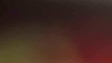 Guillermo 'Memo' Ochoa es un histórico dentro del Club América.