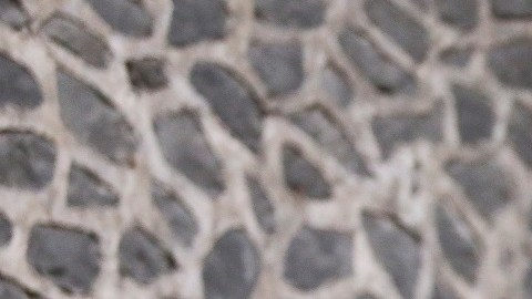 Ricardo Cadena dirigió su primer partido con las Chivas de Guadalajara.