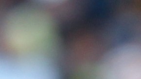 Miguel 'Piojo' Herrera, entrenador de los Tigres UANL de la Liga MX.