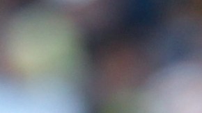 Miguel 'Piojo' Herrera, entrenador de los Tigres UANL de la Liga MX.