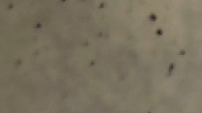 El joven mexicano disputó minutos con la selección mayor ante Guatemala.