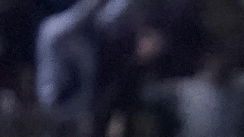 Alfredo Talavera celebra uno de los goles de Pumas contra Seattle Sounders.