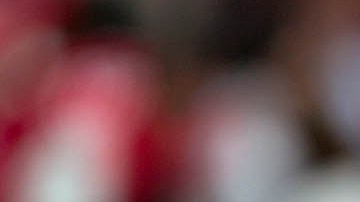 José Saturnino Cardozo.