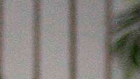 Julio César Chávez (i) y su hijo, también boxeador, Omar Chávez (d).