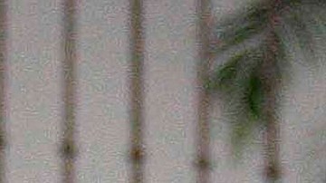 Julio César Chávez (i) y su hijo, también boxeador, Omar Chávez (d).