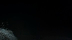 Juan Carlos Osorio dirigió a México durante el Mundial de Rusia 2018.