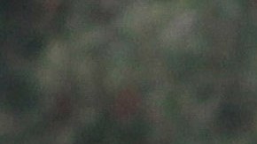 Mauricio Lozano estuvo en las inferiores de Pumas de la UNAM.