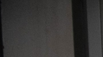 Joven hispana de 22 años muere triturada por una máquina mezcladora en una fábrica de pan