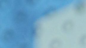 Karol G es una de las cantantes colombianas más exitosas en la actualidad.