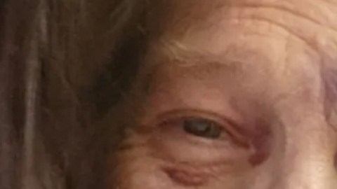 Ladrón golpeó a abuelita latina de 72 años y le robó su auto, solo para morir en un accidente poco después