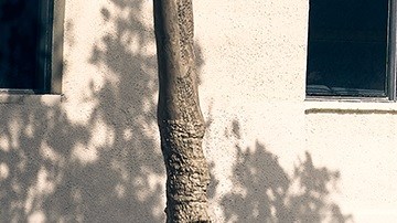 Lexus NX 350 F Sport 2022