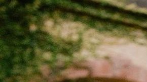 Detienen a Manu Vaquita, presunto asesino del exgobernador de Jalisco, Aristóteles Sandoval.