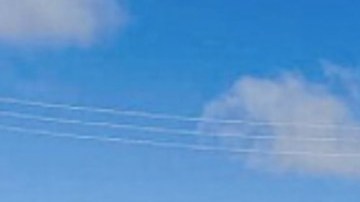 Mujer arriesga su vida para salvar a mascotas abandonadas por la violencia del narco.