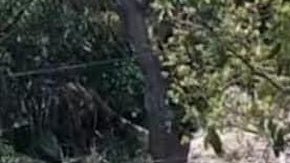 Motosicarios matan a familia en Tuxpan, Veracruz, en México.