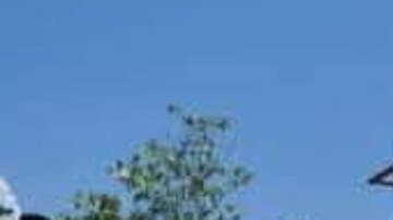 Violencia en Quintana Roo, México, no para: matan a turista en un parque.