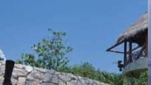 Violencia en Quintana Roo, México, no para: matan a turista en un parque.