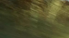 Mercedes-AMG C43