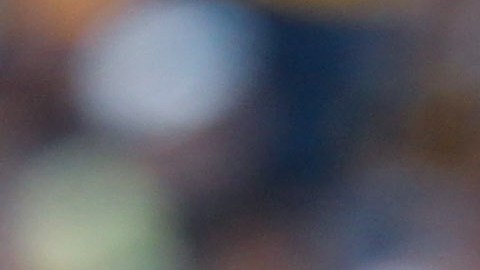 Miguel Herrera