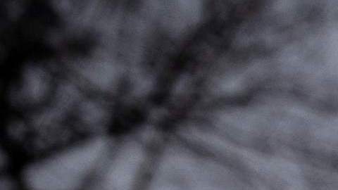 Momento en que helicópteros de combate ucranianos hacen estallar depósito de combustible dentro de Rusia