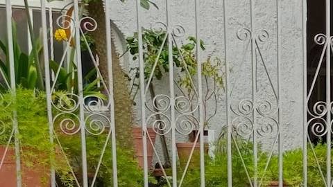 Mujer sale a recibir ramo de flores y es baleada en Jalisco, México.