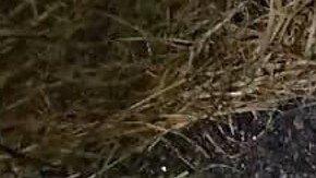 Narcos dejan a dos rivales colgando de un puente en la frontera.