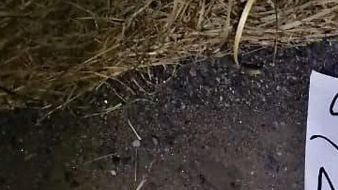 Narcos dejan a dos rivales colgando de un puente en la frontera.
