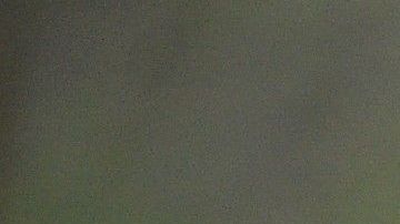 Niña gravemente herida por un ataque de coyote en playa de California