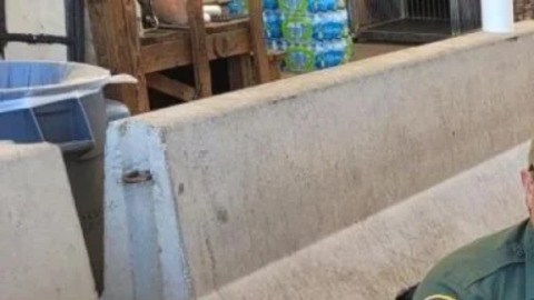 Oficial canino de patrulla fronteriza encuentra suficiente fentanilo para matar a 2.7 millones de personas en Arizona