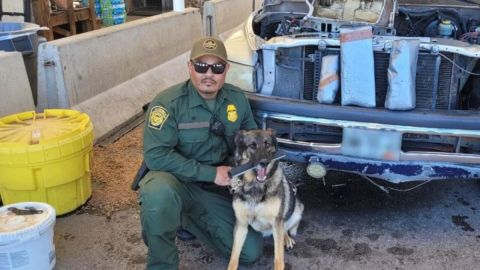 Oficial canino de patrulla fronteriza encuentra suficiente fentanilo para matar a 2.7 millones de personas en Arizona