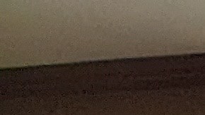 Representantes de compañías y la concejal Nury Martínez firmaron el acuerdo. (Jacqueline García/La Opinión)